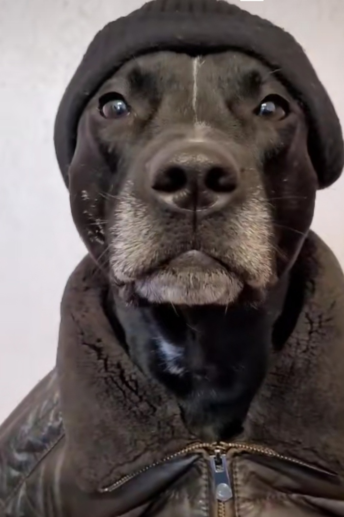 Бунтовщик по имени Граф