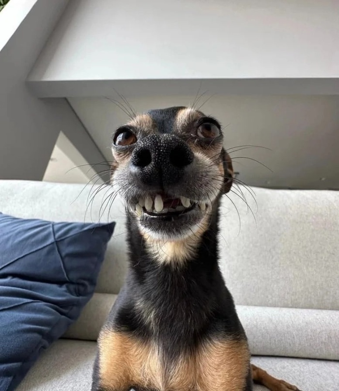 ������ �����!