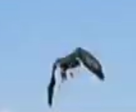 Ответ на пост «И я присоединюсь»