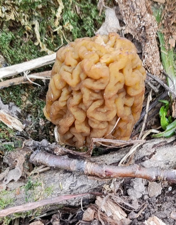 ����� ���! ����!