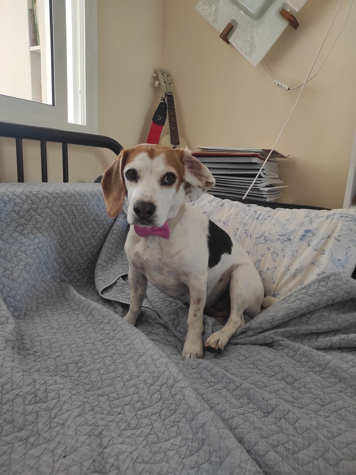 ����? � � ����