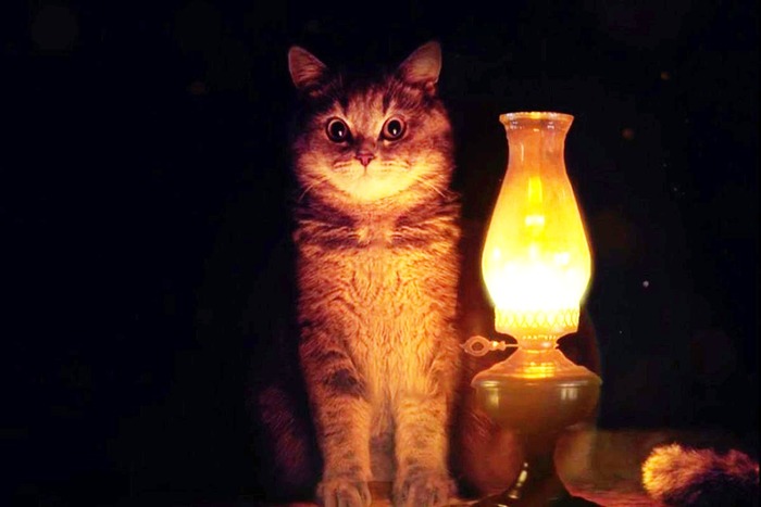 ���� ���� � �������