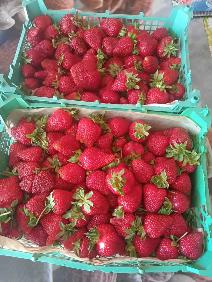 ������������ � �� ����!