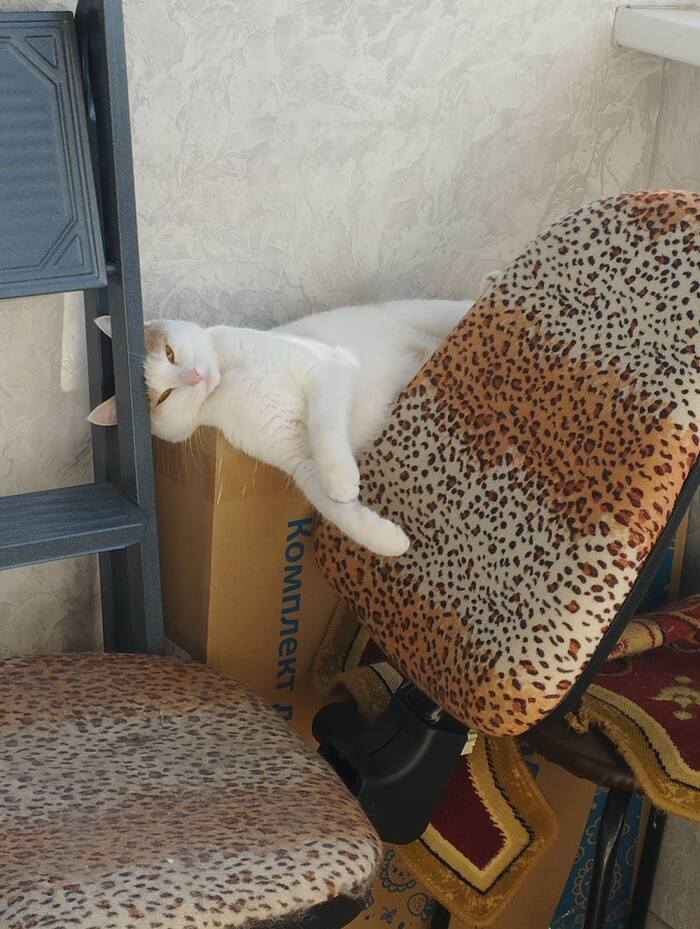 ���� �������� :)