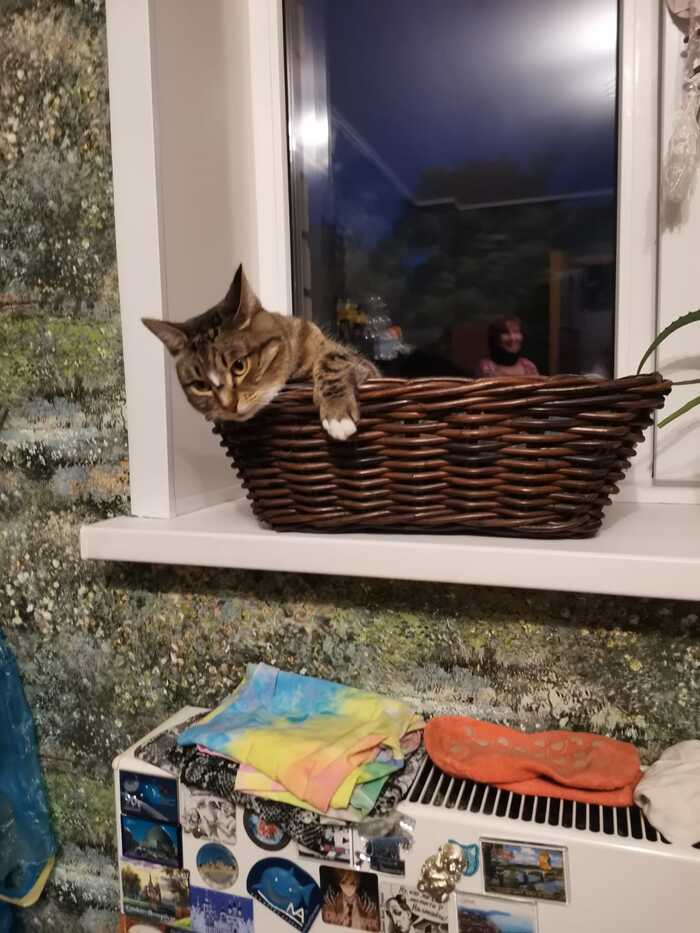  ,   ,    , , , 