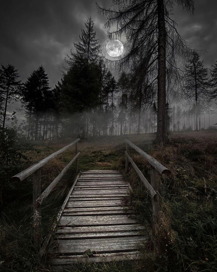 �� ���� �����