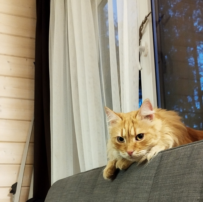 ��������� ��� ���������