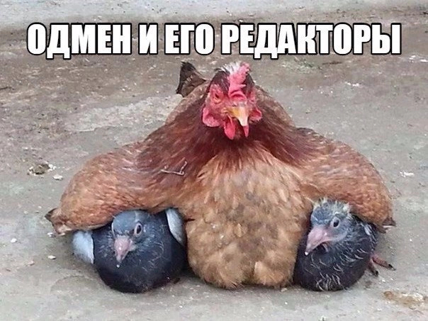 Ответ на пост «Говорят тут отсыпают плюсов»