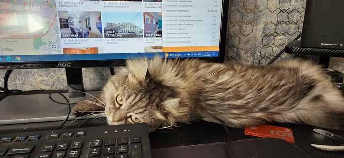 ����� ���� ������ ������� ������