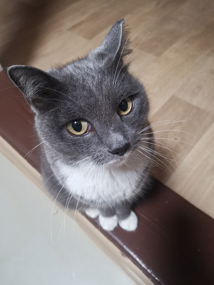 � ���� ��� �����?