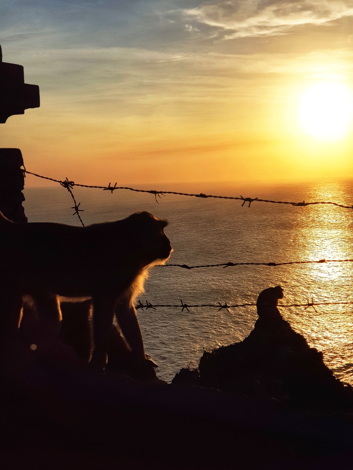 Обложка для июньского бунта на пикабу