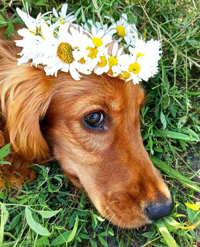 Бунд или не бунд - вот в чем вопрос...