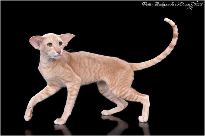 � � ���� ����� ������� ����������?