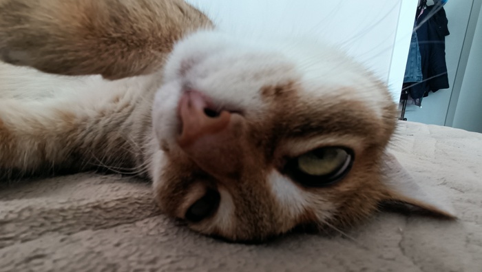   , , 
