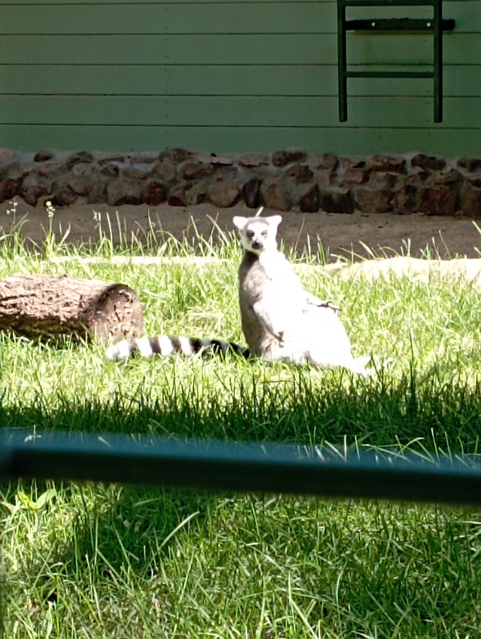 ����� ������������