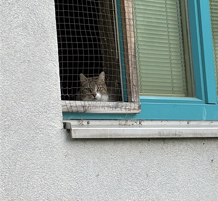 Может хватит бунда?!! Рука устала плюсовать!