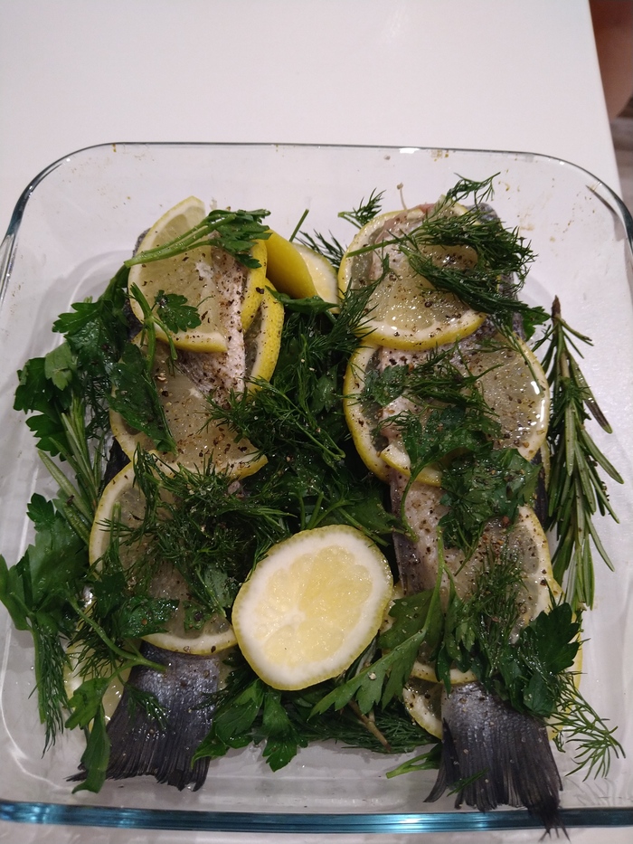 Дорадавствует бунд!