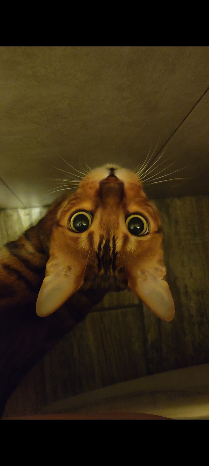 Тоже хочу плюсов!