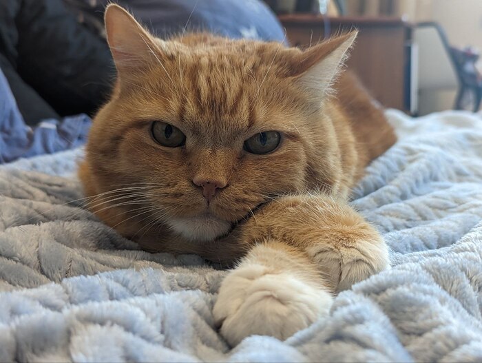 �� ��� ����� ����� ������, ��� ���� ������ ����������, �� ���������� � ����� ������ �����