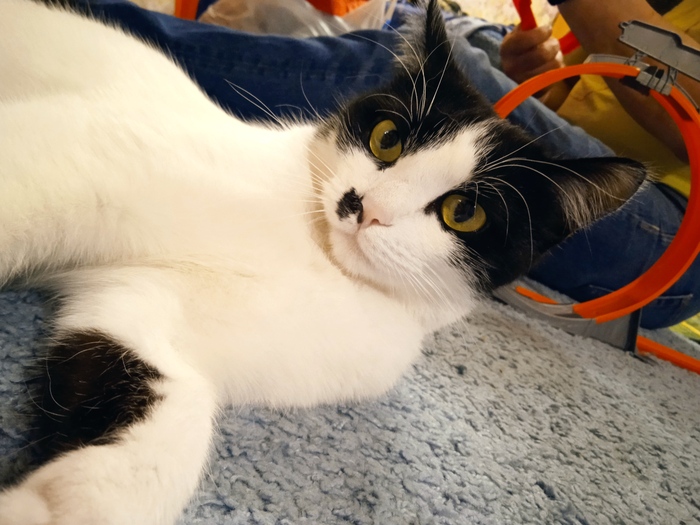 Мушка за Бунд!