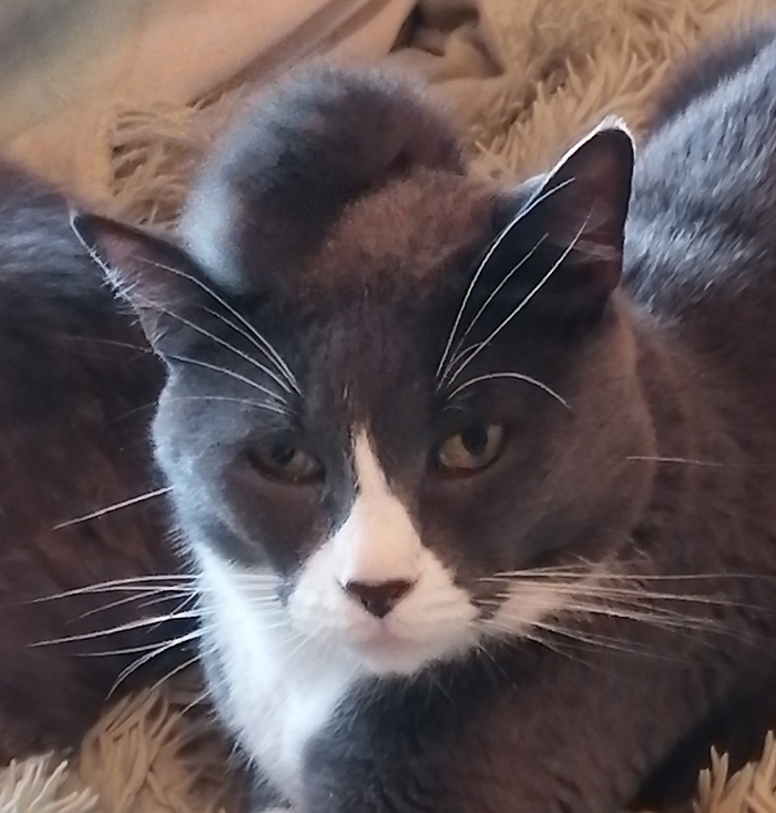 В поддержку бунда!!