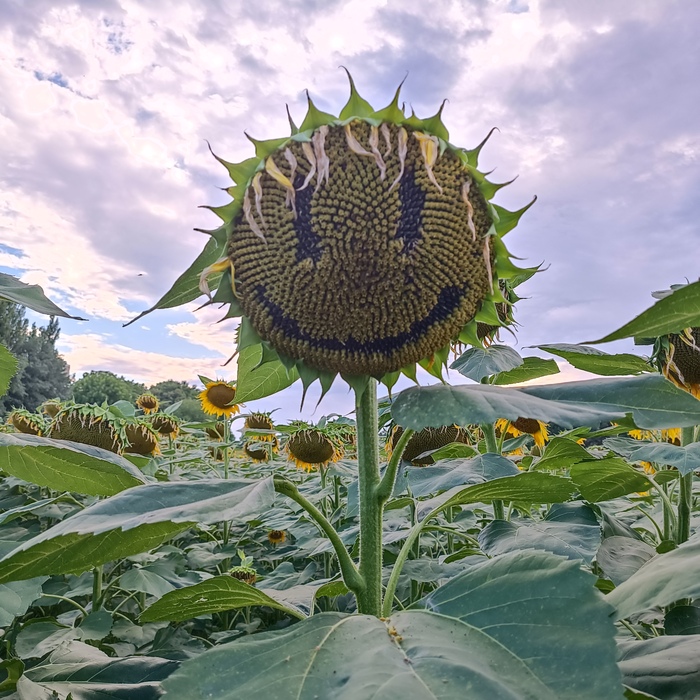 ������, �� �����!!! �������� � �������, ����� �����! ������� ���!!!