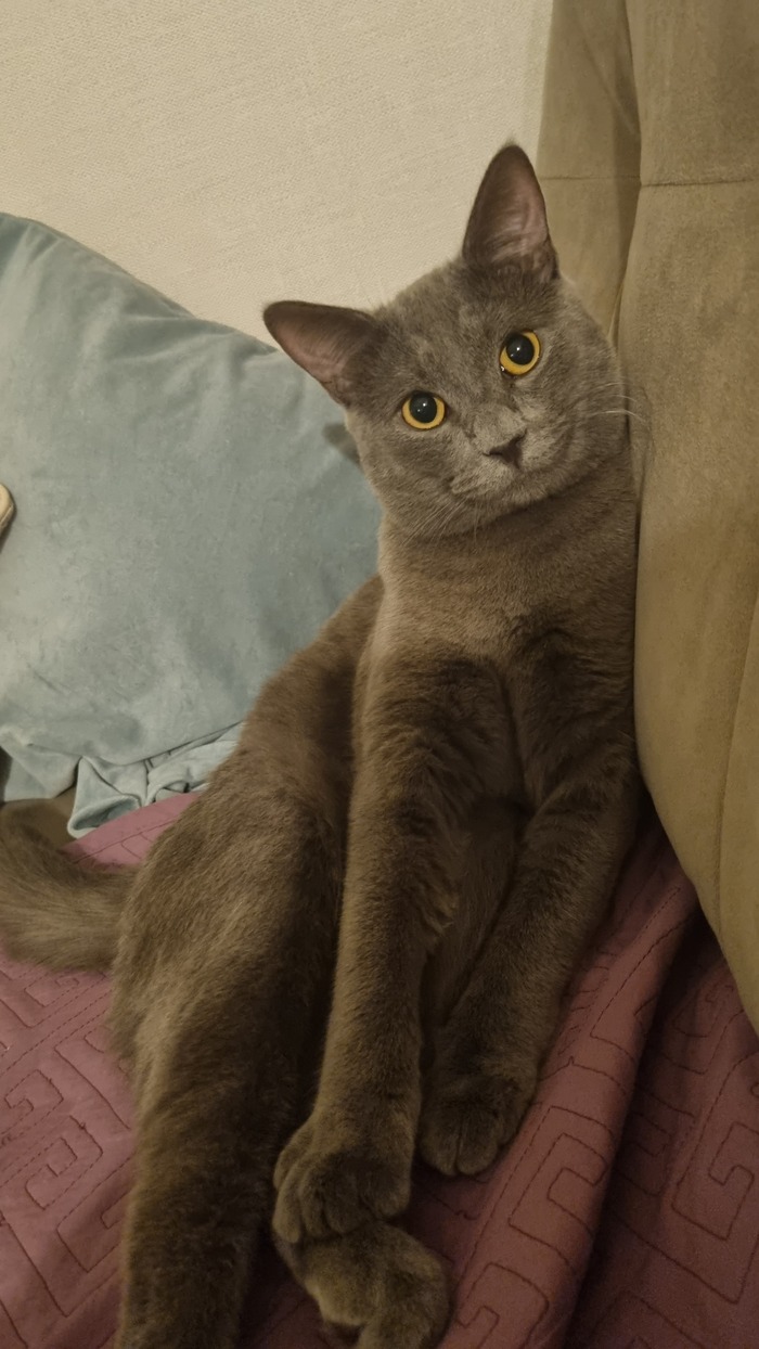 ��� �������� ����������� ������. �� ��� �����!