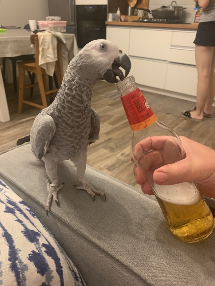 Алкоголизм