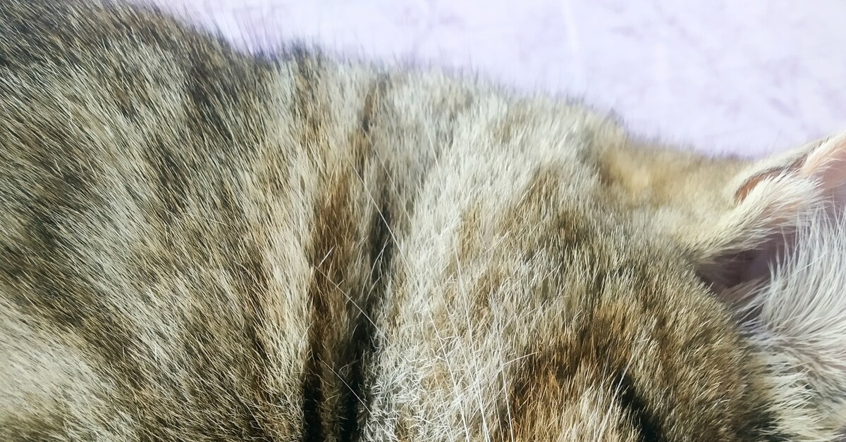 Qwerty | Пикабу