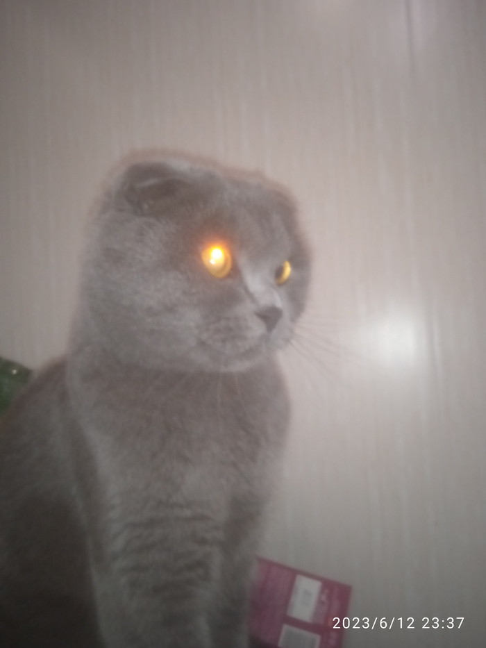     ,  ,  , ,   ,  