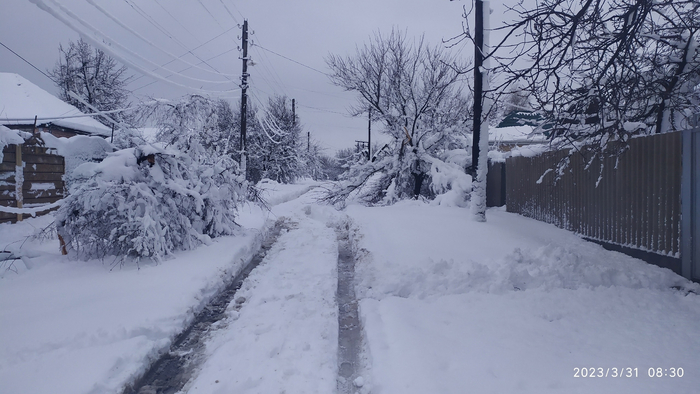 Снежный бунд+