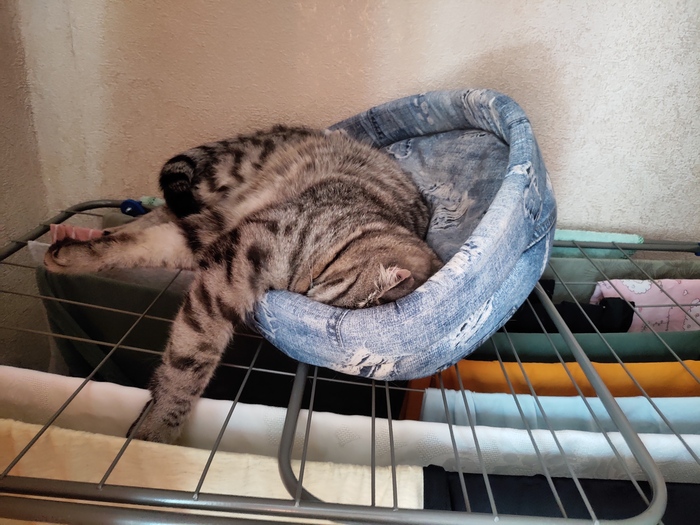 �� ��� �� ����, ������������