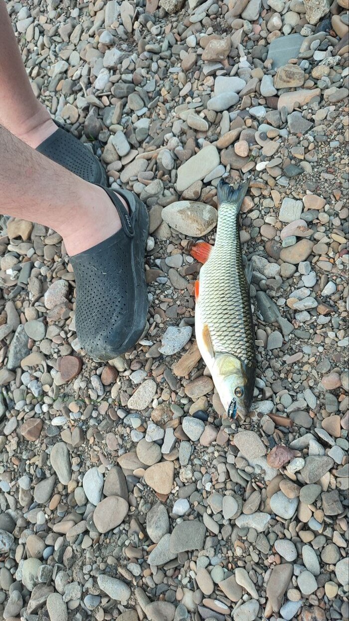 ������� �� ���������