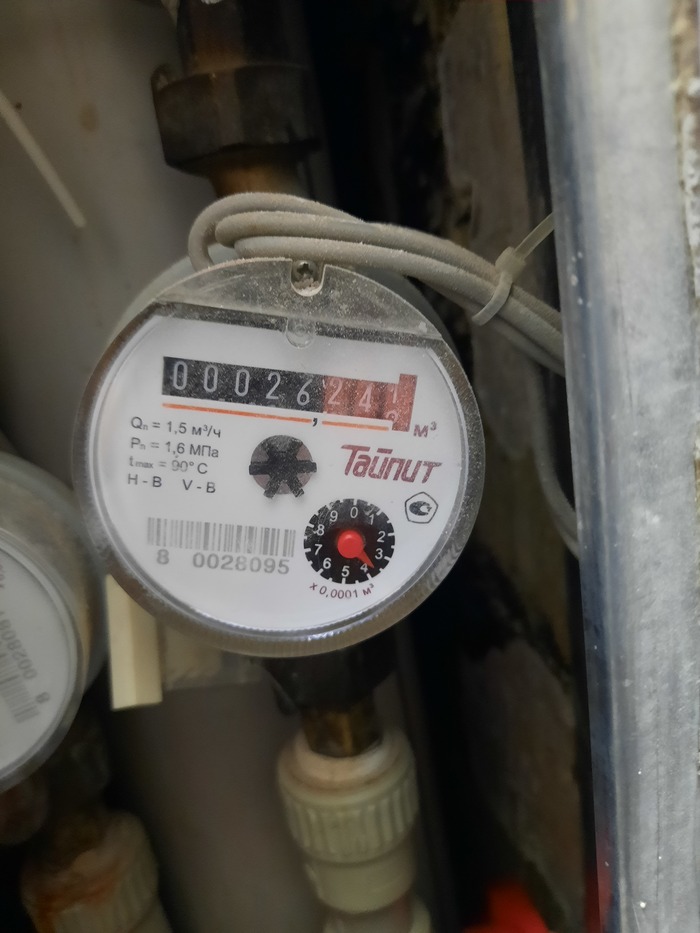 ����� ��� ������ ��������?