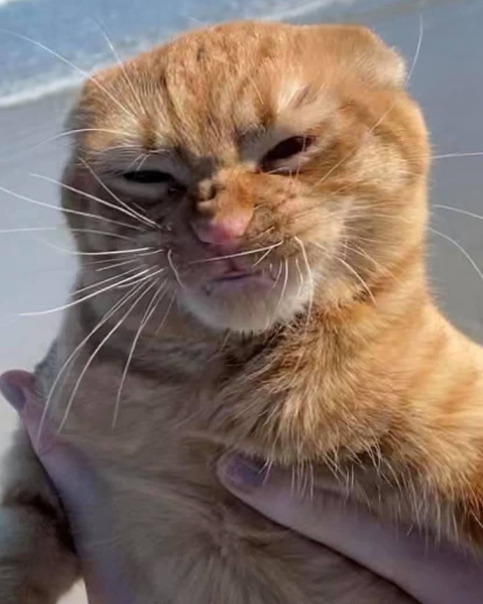 ������ �� ������������