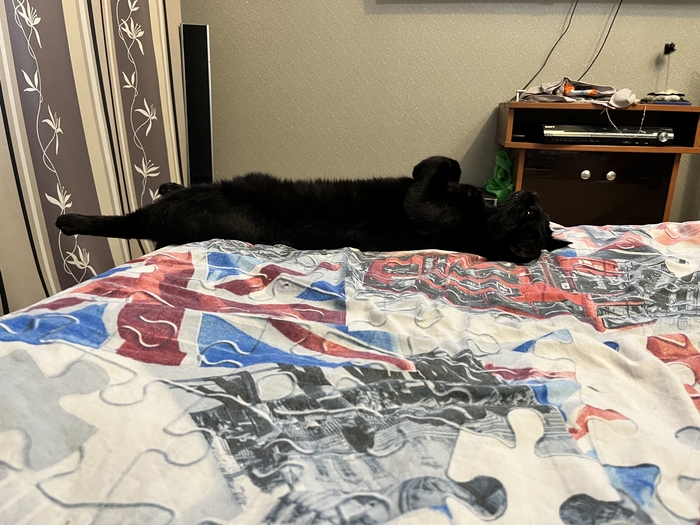 �� ��� ����� ����� ����� ��� ���