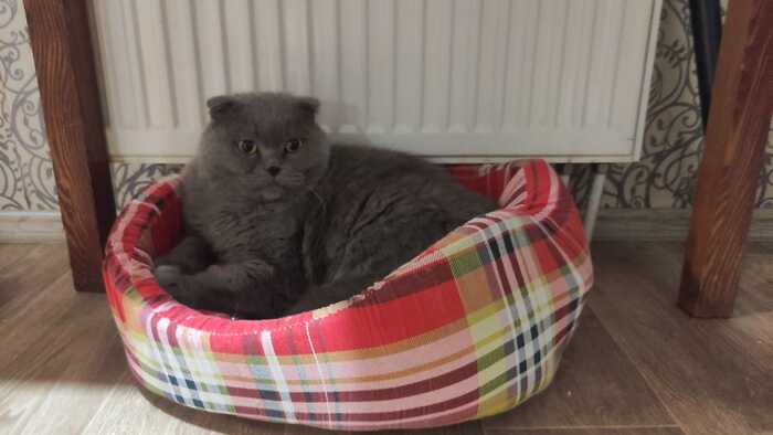 ����� ������������ ����