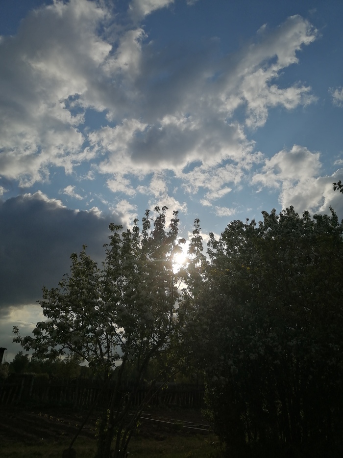 ����� ������� ��� ����