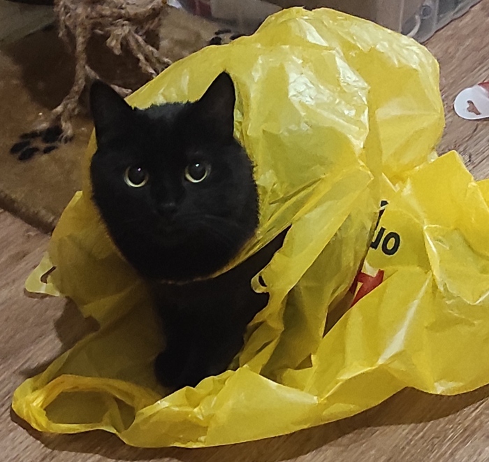 ����� � ������ ������� �� ����