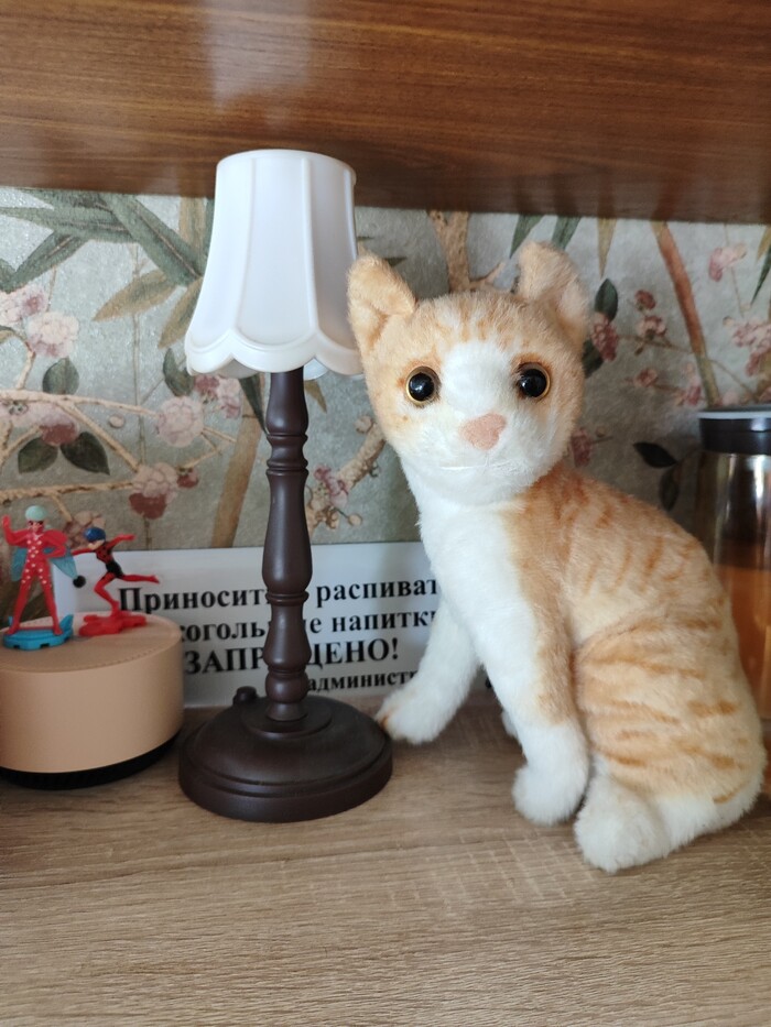 �� ������� � ����...