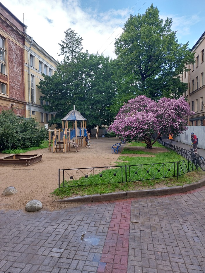 Как бы фото