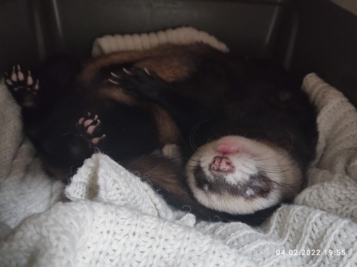 Первый и сразу бунд!)