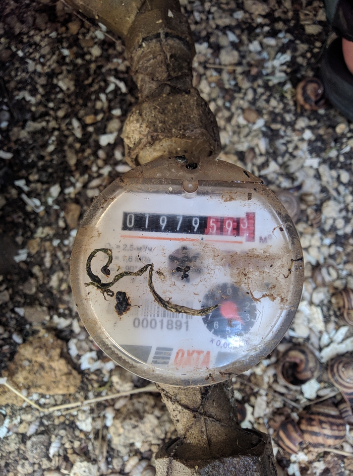 ����� �� ���� ������� ���������!�