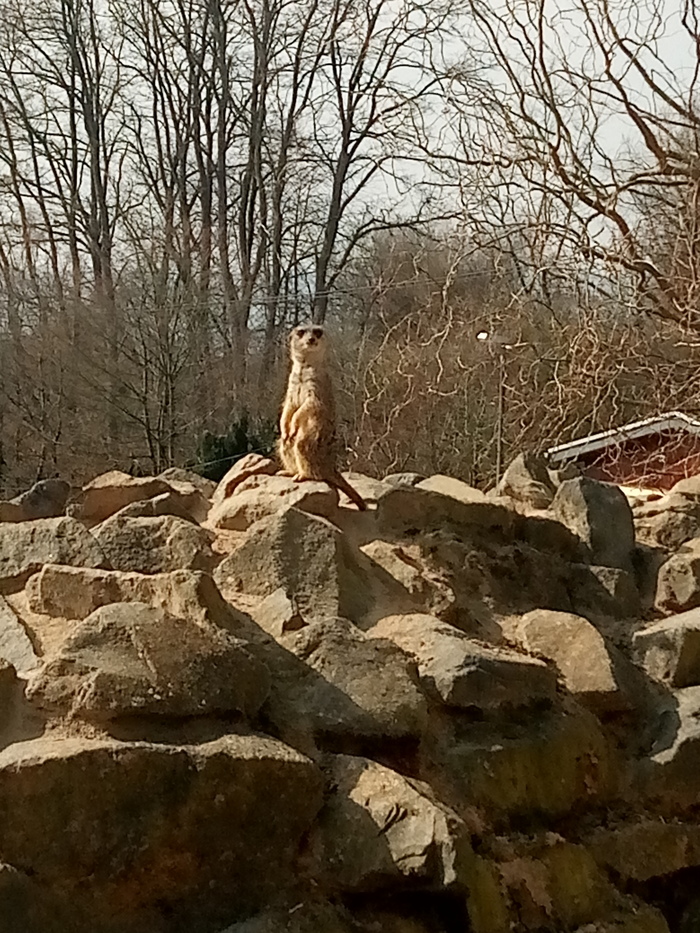 ���� ������� ��� � �����