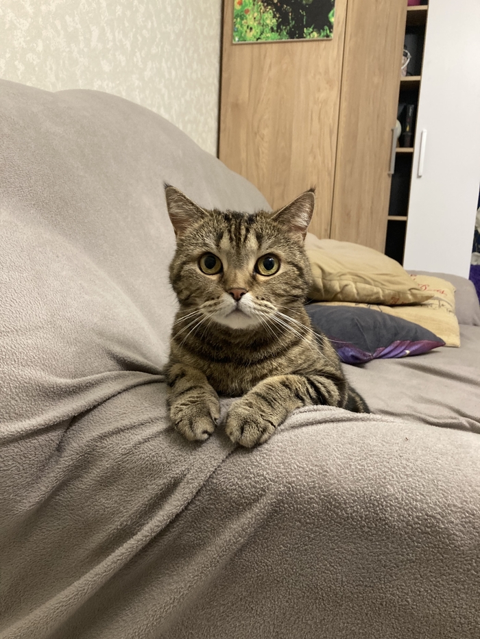 ��� �����