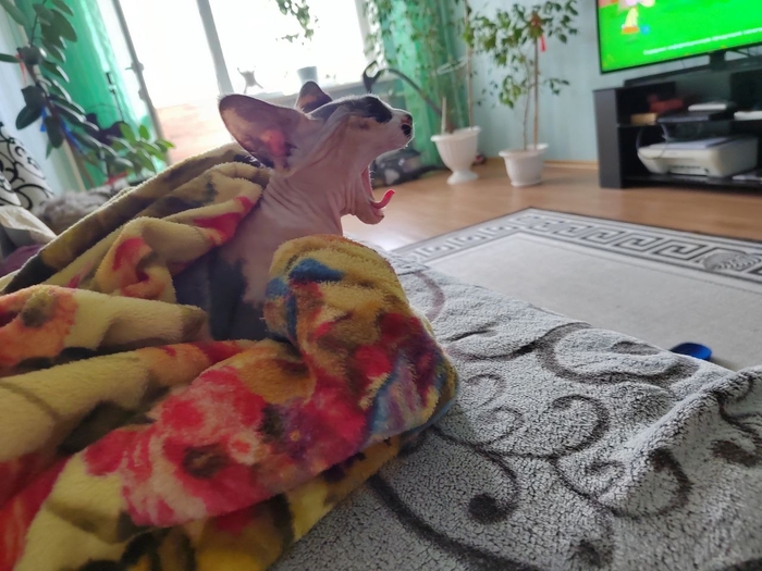 ��-�-�-�-�-�-��