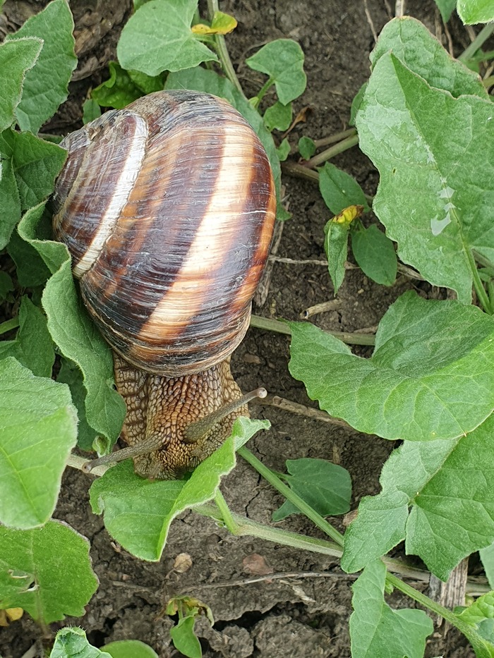      , , , ,  