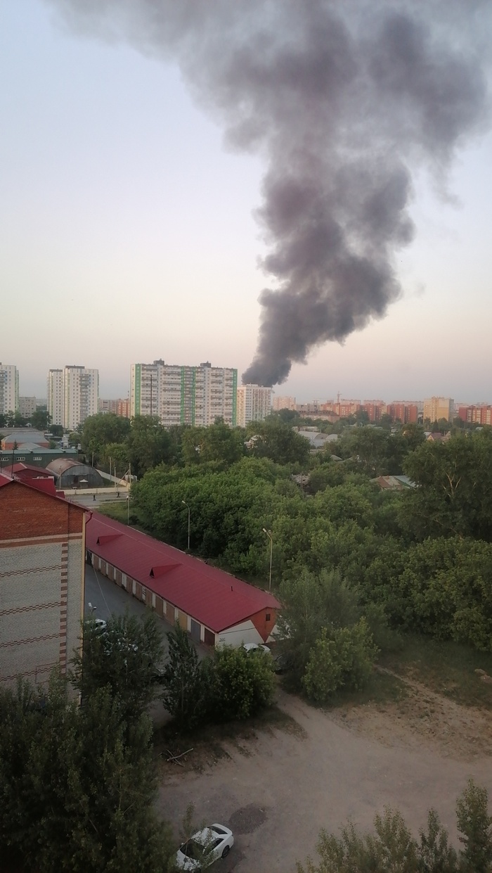 Бунт | Пикабу