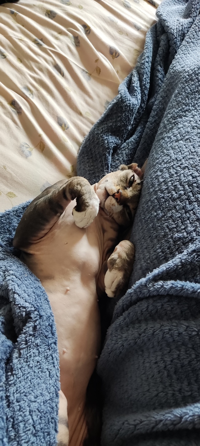 ��������� �������� � ����� ����������, �����)