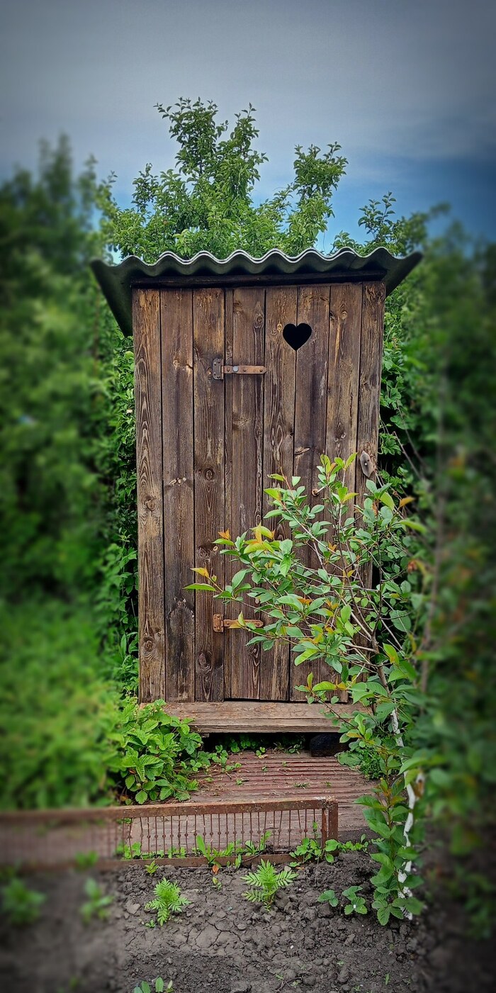 ��� �������� ��� �����